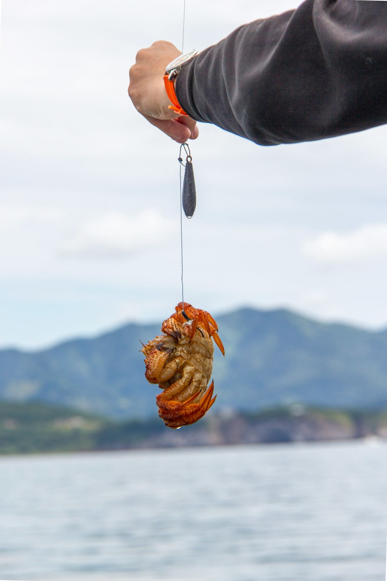 a person holding a fish hanging from a hook